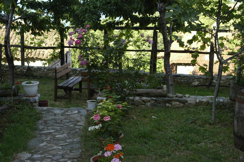 Guesthouse Klearchos Palaios Panteleimonas Dış mekan fotoğraf